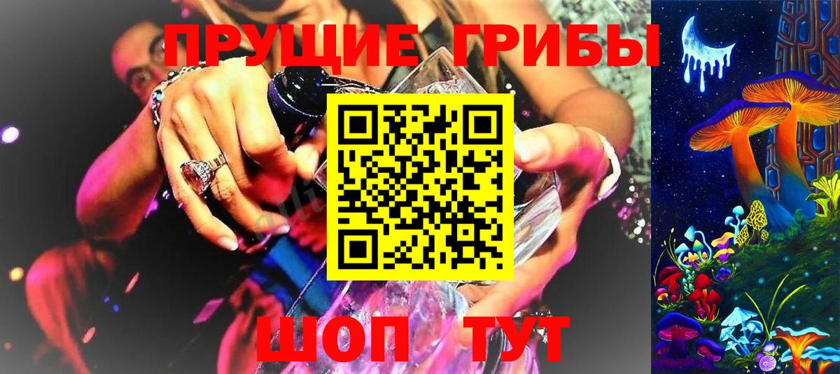 Выкса  Галлюциногенные грибы GOLDEN TEACHER  Вход с VPN 